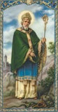 Saint Patrick saint patron des ingenieurs