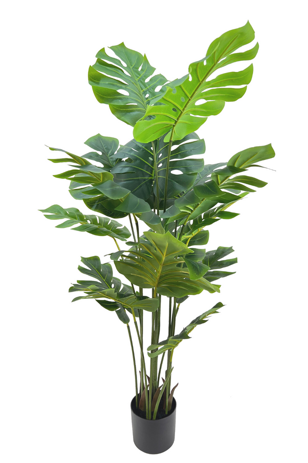 Eukalyptus Kunstzweig 65 cm | PrettyPflanzen