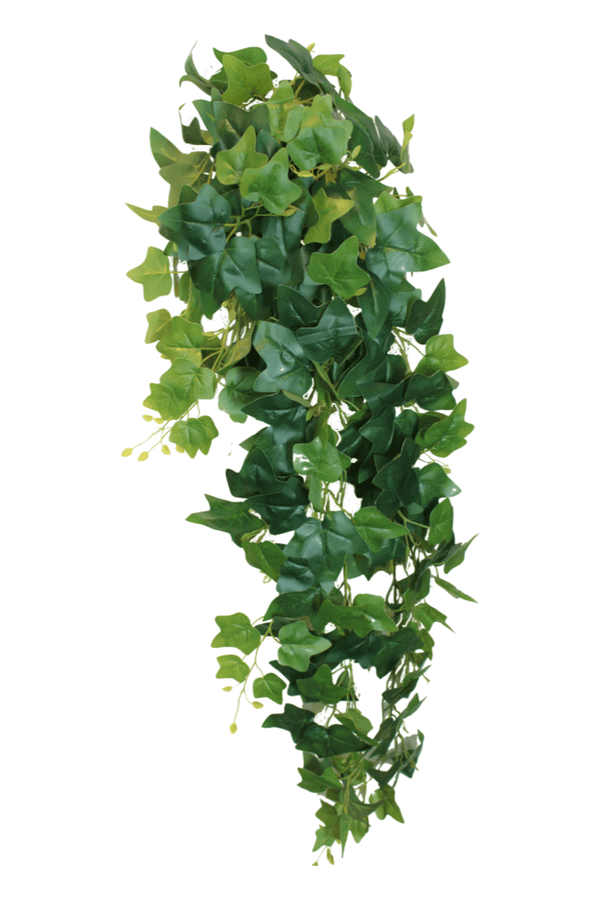 Kunstpflanze hängende | PrettyPflanzen Philodendron