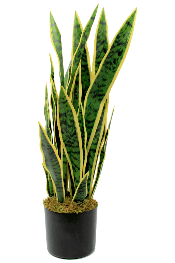 | Eukalyptus cm 65 Kunstzweig PrettyPflanzen