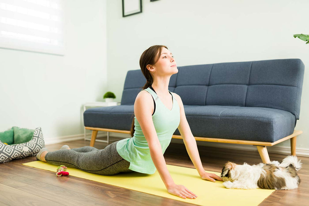 The upward facing dog yoga pose