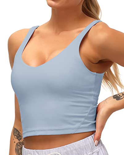 Dragon Fit Sports Bra for Women Longline Padded Bra Yoga Crop Tank Tops  Fitness Workout Running Top (Small, Demin Blue) – The Home Fitness Corp