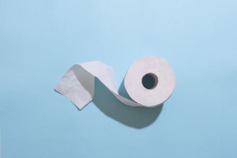12 Bamboo Toilet Paper Brands to Try 2024