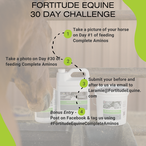 Fortitude Equine - 30 Day Challenge Complete Aminos