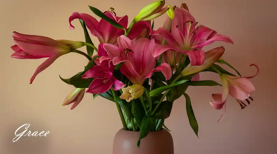 Asiatic-Lilies-for-alergy