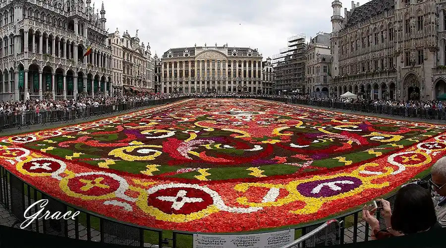 Brussels-Flower-Carpet