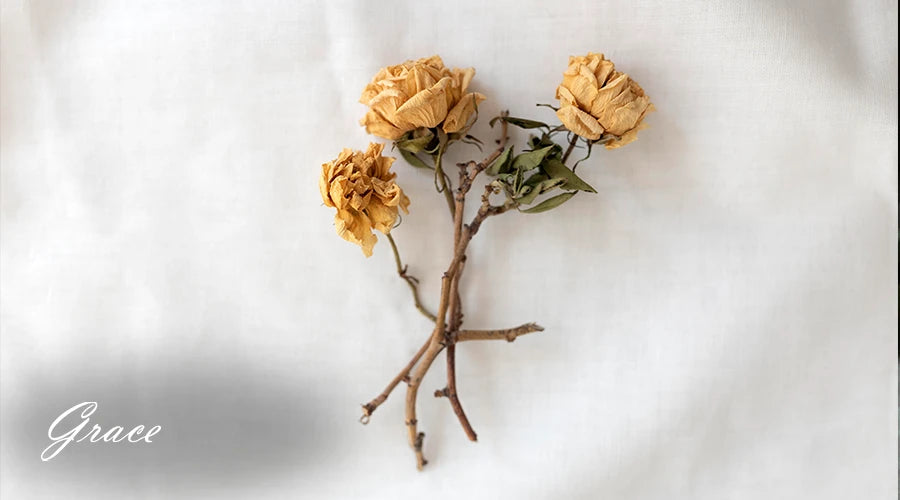 Forever-Roses-Vs-Dried-Roses-Key-Differences