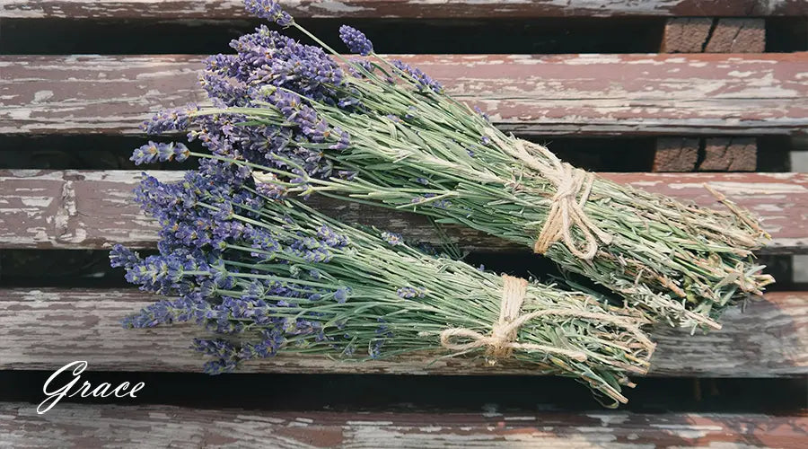 Lavender-for-stress-relief