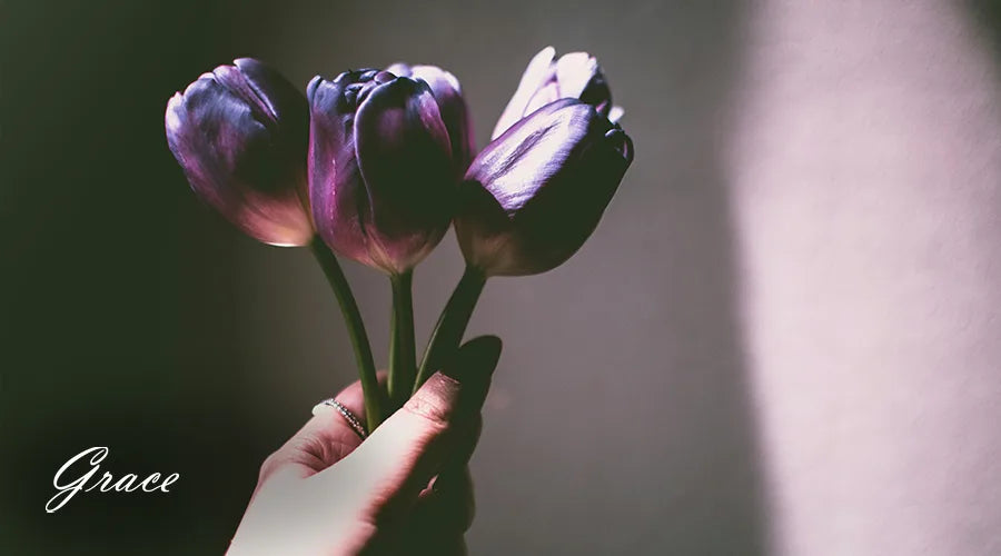 Purple-Tulips-Meaning