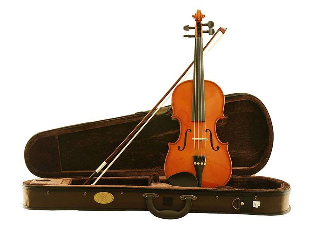 Купить скрипку в москве. Скрипка Stentor 4/4. Stentor чехол для скрипки. Музторг скрипки 3/4. Струнные инструменты.