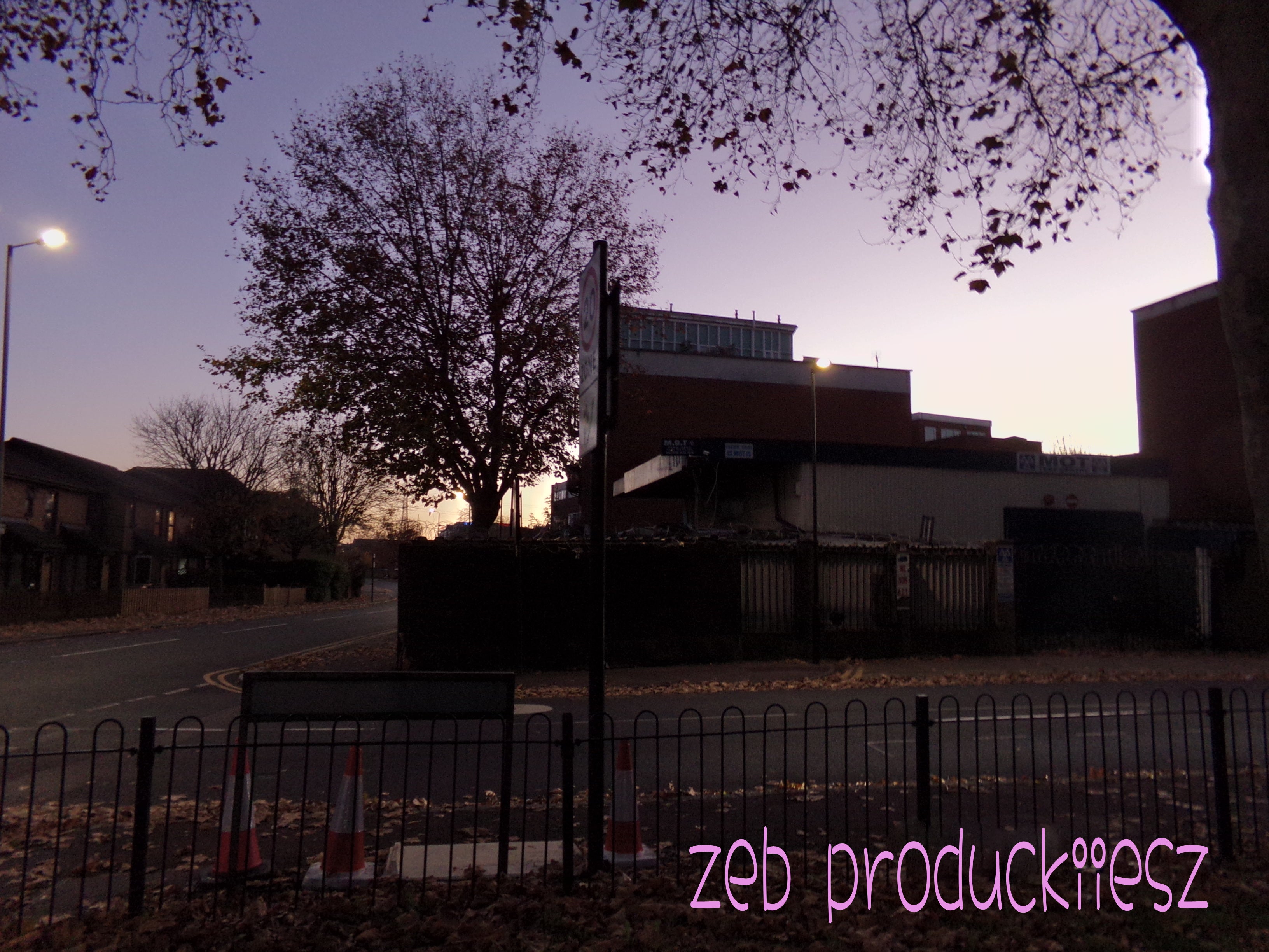 the picture is of a road as the sunsets. the sky is lilac. theres a large tree free of trees in the centre left of the image, the shadowy outline of a mechanics to the right. black railings go across the bottom of the picture and some bare branches frame the top of the picture. "zeb productiionsz" is displayed in a graffiti style font in lilac.
