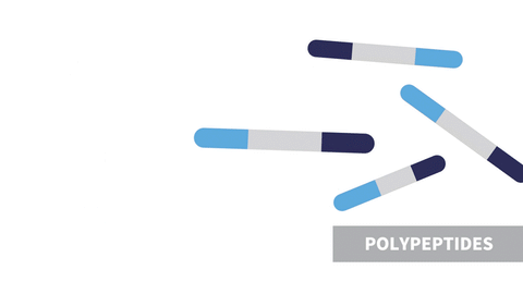 polypetides-3cl-cutting-animation