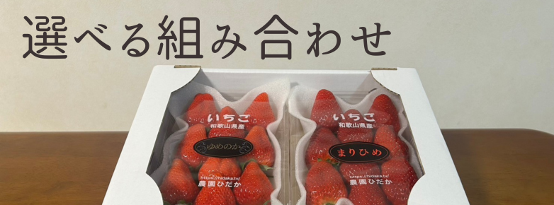 和歌山県産いちごをお取り寄せ。組み合わせが選べるオプション付き！