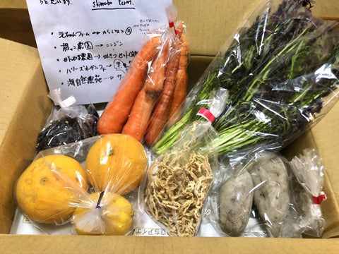 農レンジャー野菜ボックス