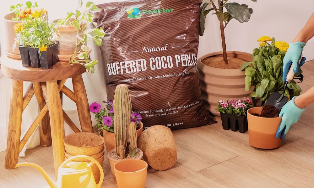 buffered coconut coir coco potting soil coco peat pots