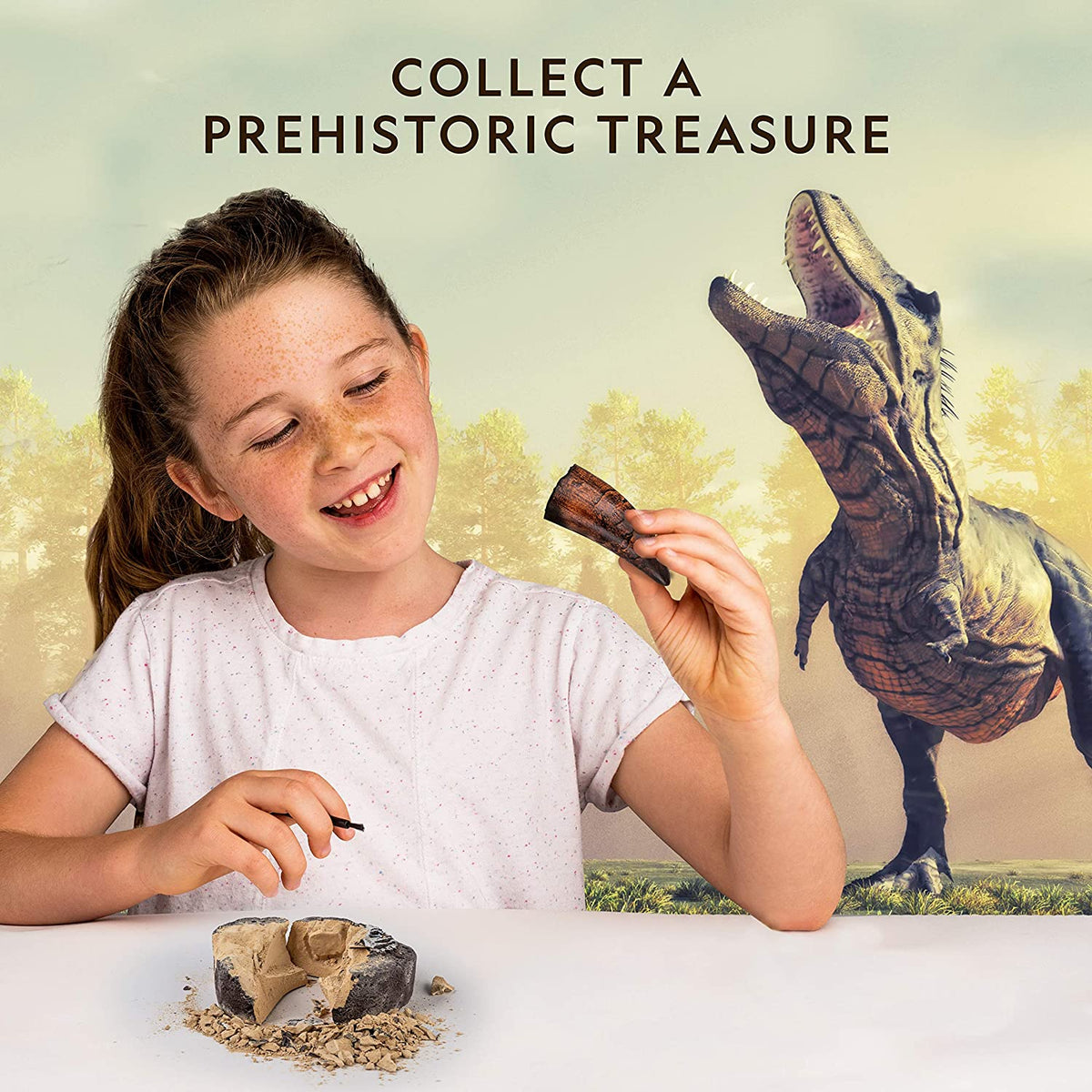 Dinosaur Fossil Dig Kit – The Children's Museum of Indianapolis Store