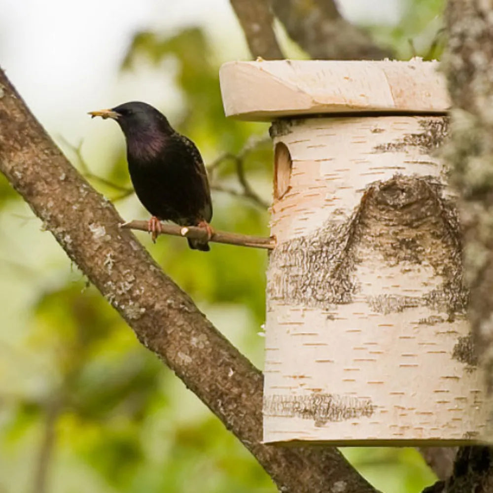 2-L Home & Garden Nestkast - Vogelhuisje