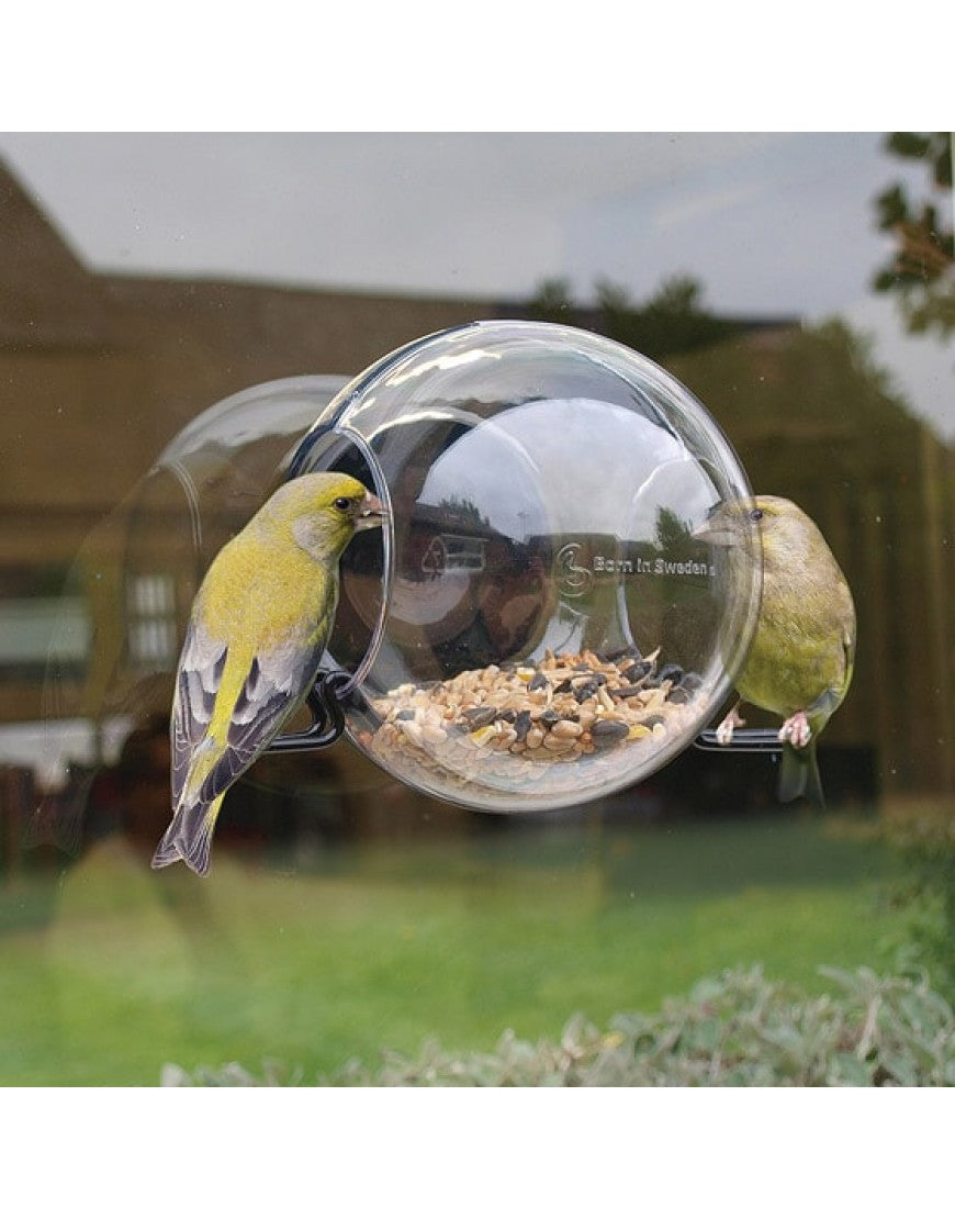 Aanmoediging Nog steeds Waakzaam Birdfeeder raamvoederhuisje– Vogelhuisjestore