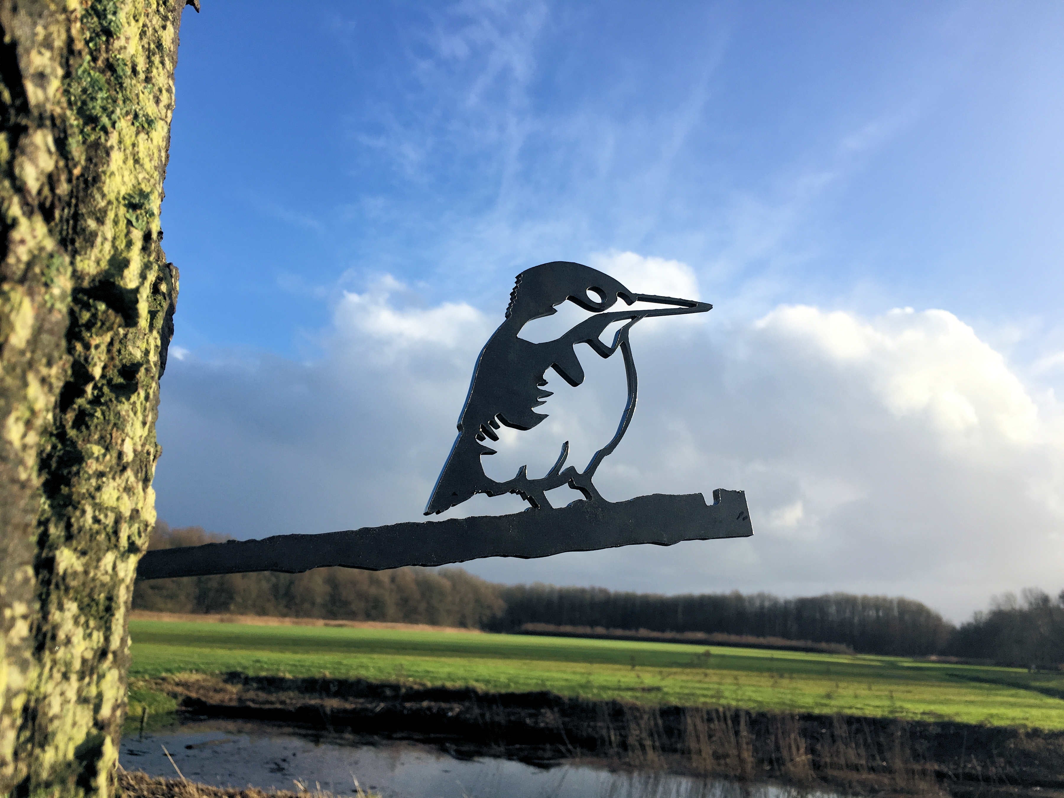 Birdwise metalen IJsvogel