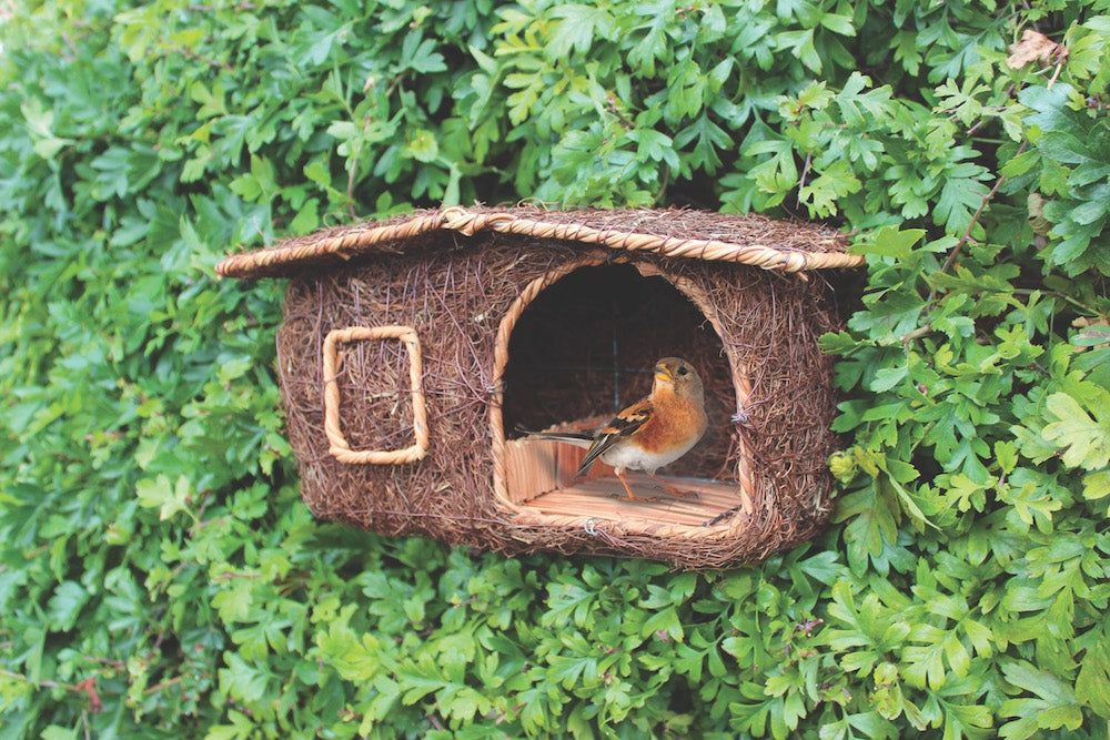 jacht Victor Geniet Roodborstje Nestkast Simon– Vogelhuisjestore