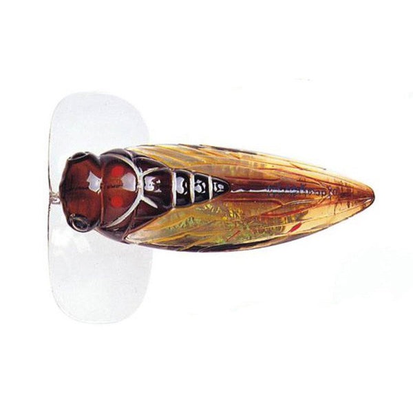 Chasebaits Ripple Cicada 43mm Hollow body Surface Lure