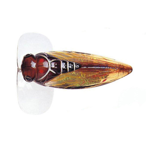 Chasebaits Ripple Cicada 43mm Hollow body Surface Lure –