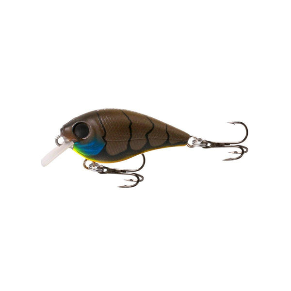 Fish Craft B Cranky 38mm Medium Crank Bait –