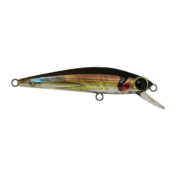 Ecogear Power Squid 3.5 Soft Bait –