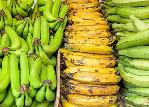  what's the difference between plantains and bananas?
