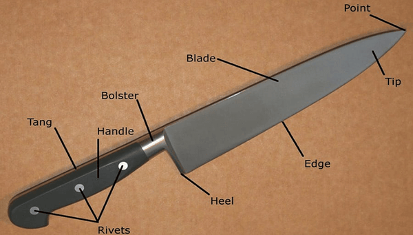 Anatomy of a Chefs Knife: What Each Part Is Called