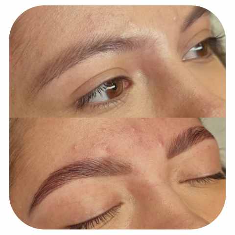 Elleeplex ProFusion Brow Lift Før og Efter