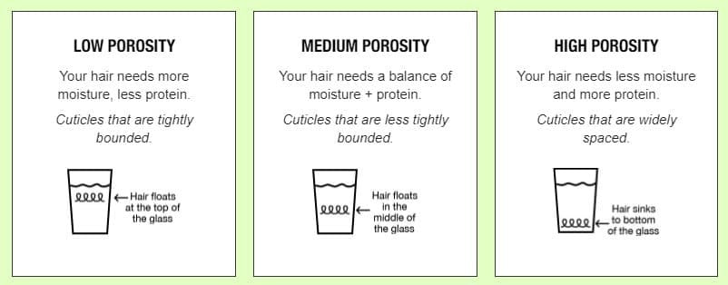 hair porosity