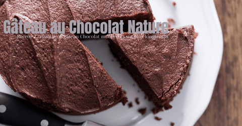 gâteau chocolat nature
