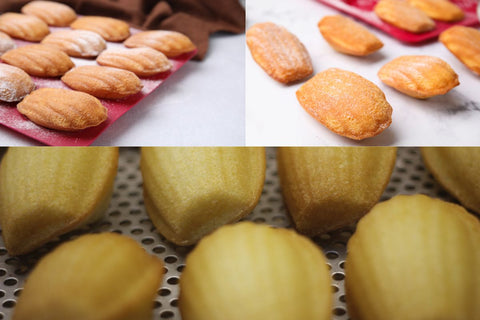Moules à Madeleines