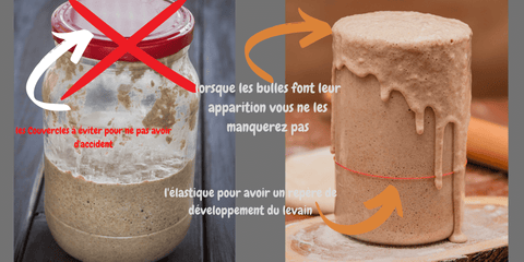 surveiller le niveau du levain