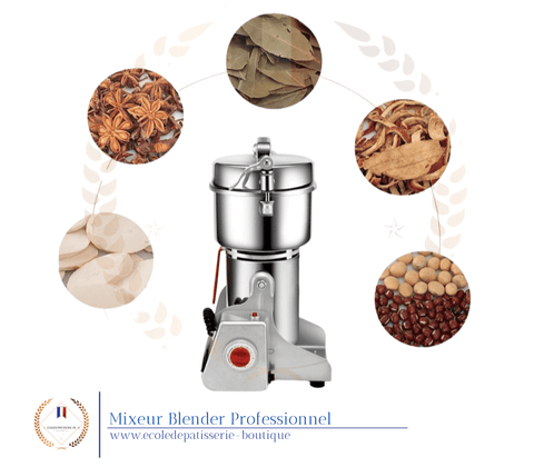 Mixeur Blender swing pro+