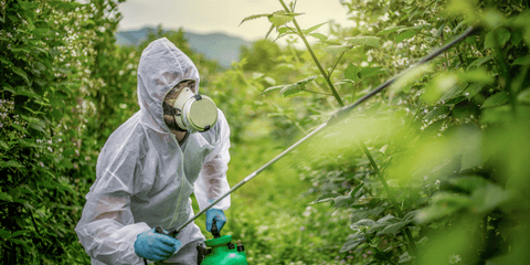 les pesticide