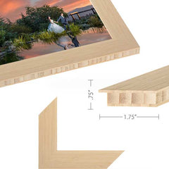 Bamboo Frame