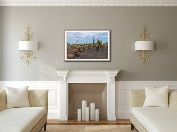 Fine Art Deckled Edge Photo in Natural Fog Frame Hung in a Living Room