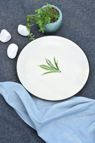 Classic White Dinner Plates