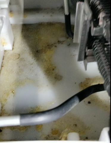 Refrigerant leaks