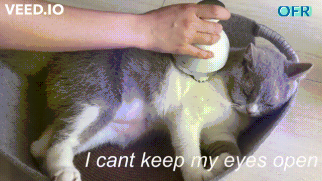 Ofrall Scalp Cat Massager