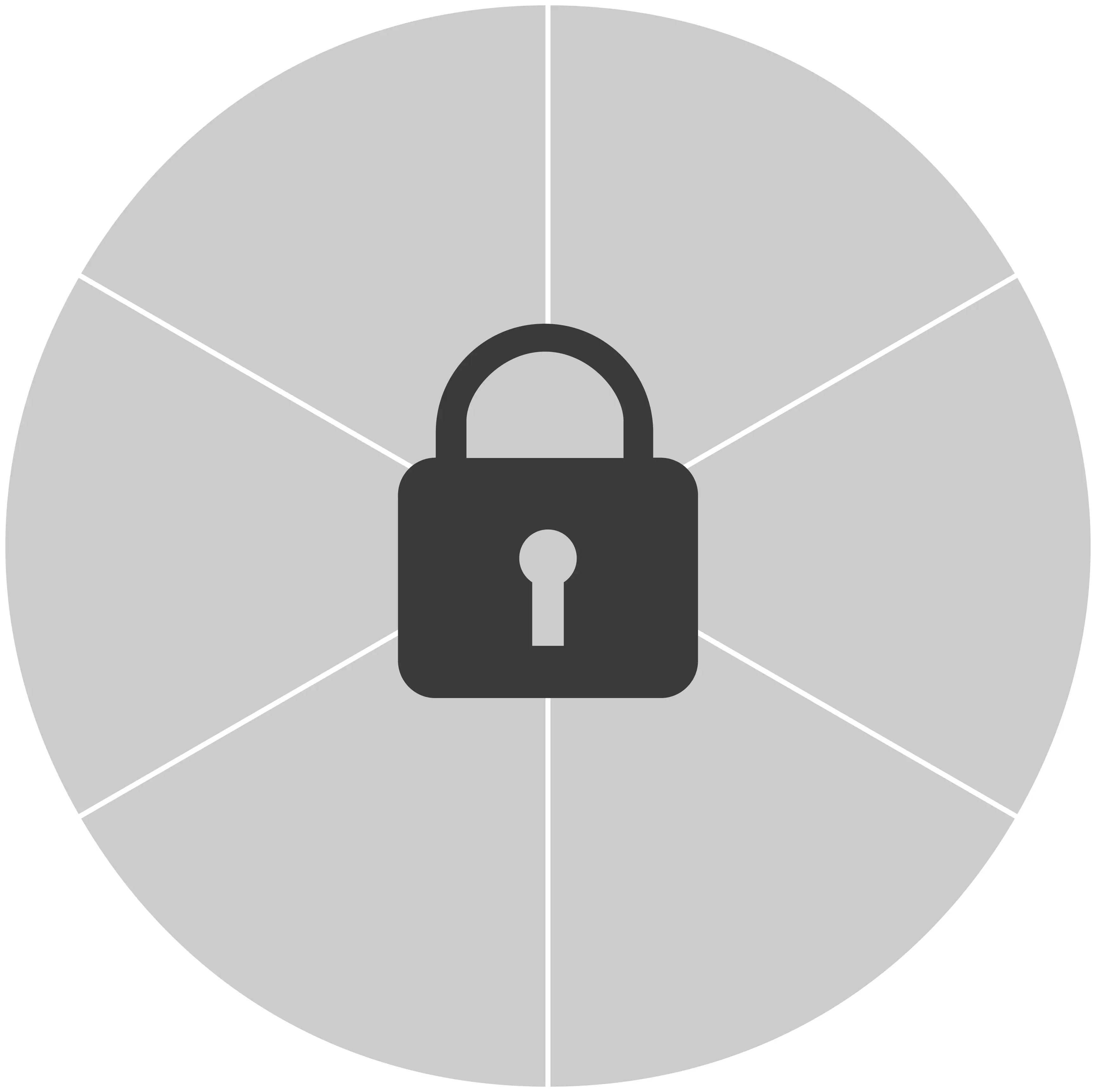 Pie chart with a lock on it