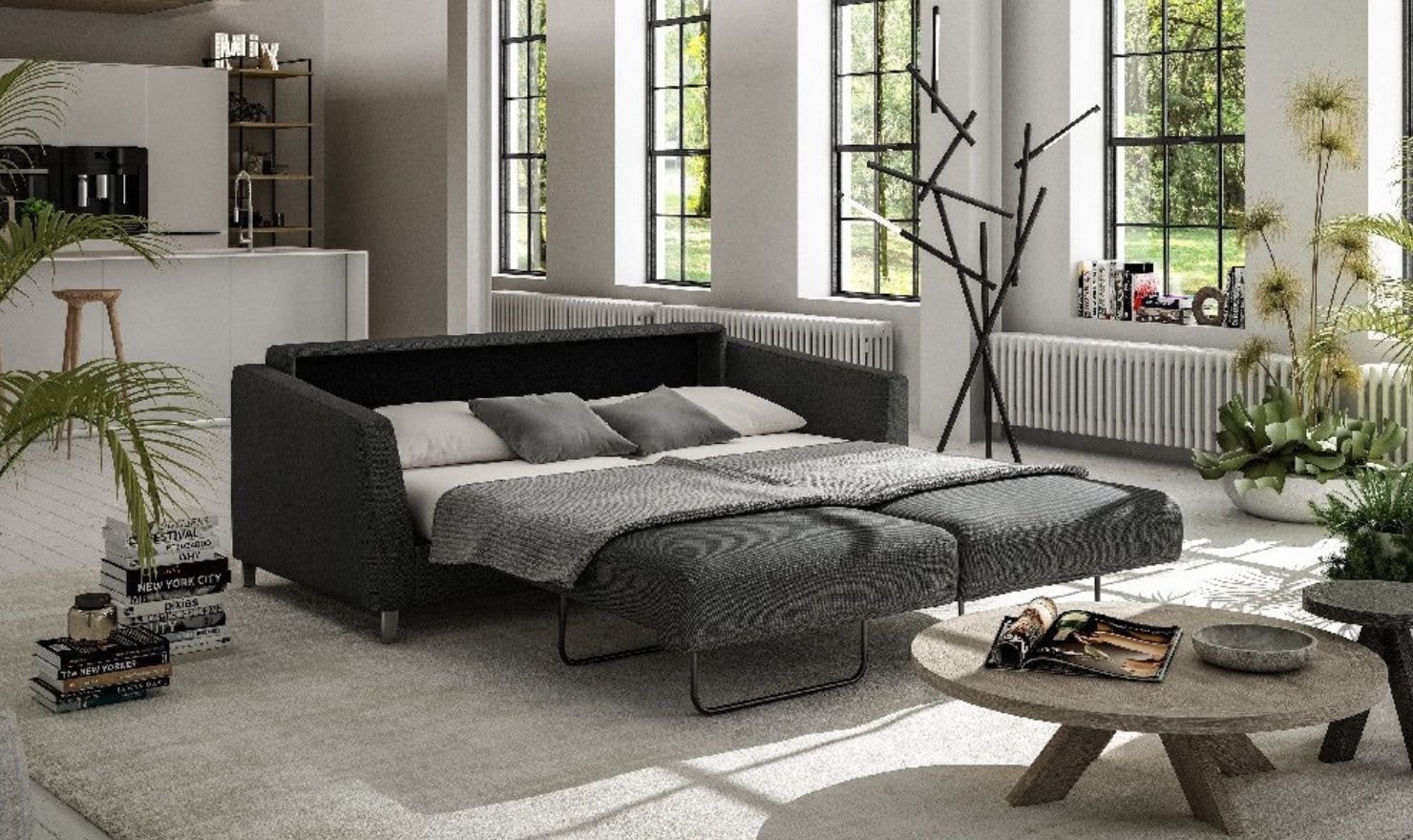 Sleeper Sofas and Sofa Beds