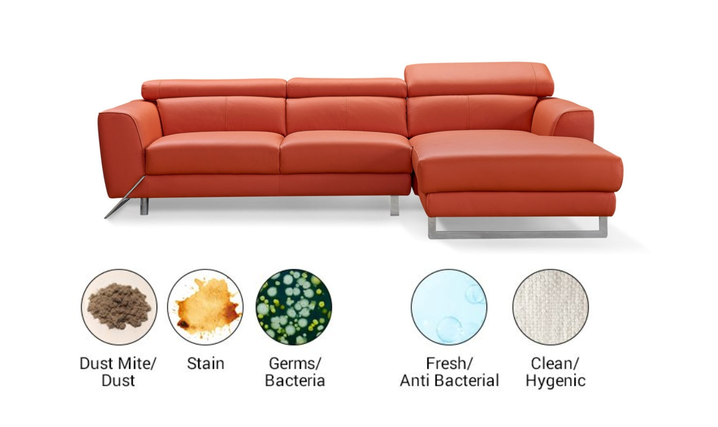 leather vs fabric sofa harbor allergens