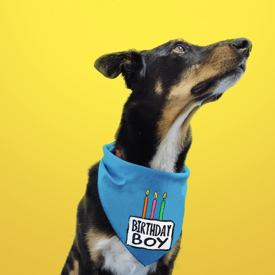 Birthday Boy Dog Embroidered Bandana