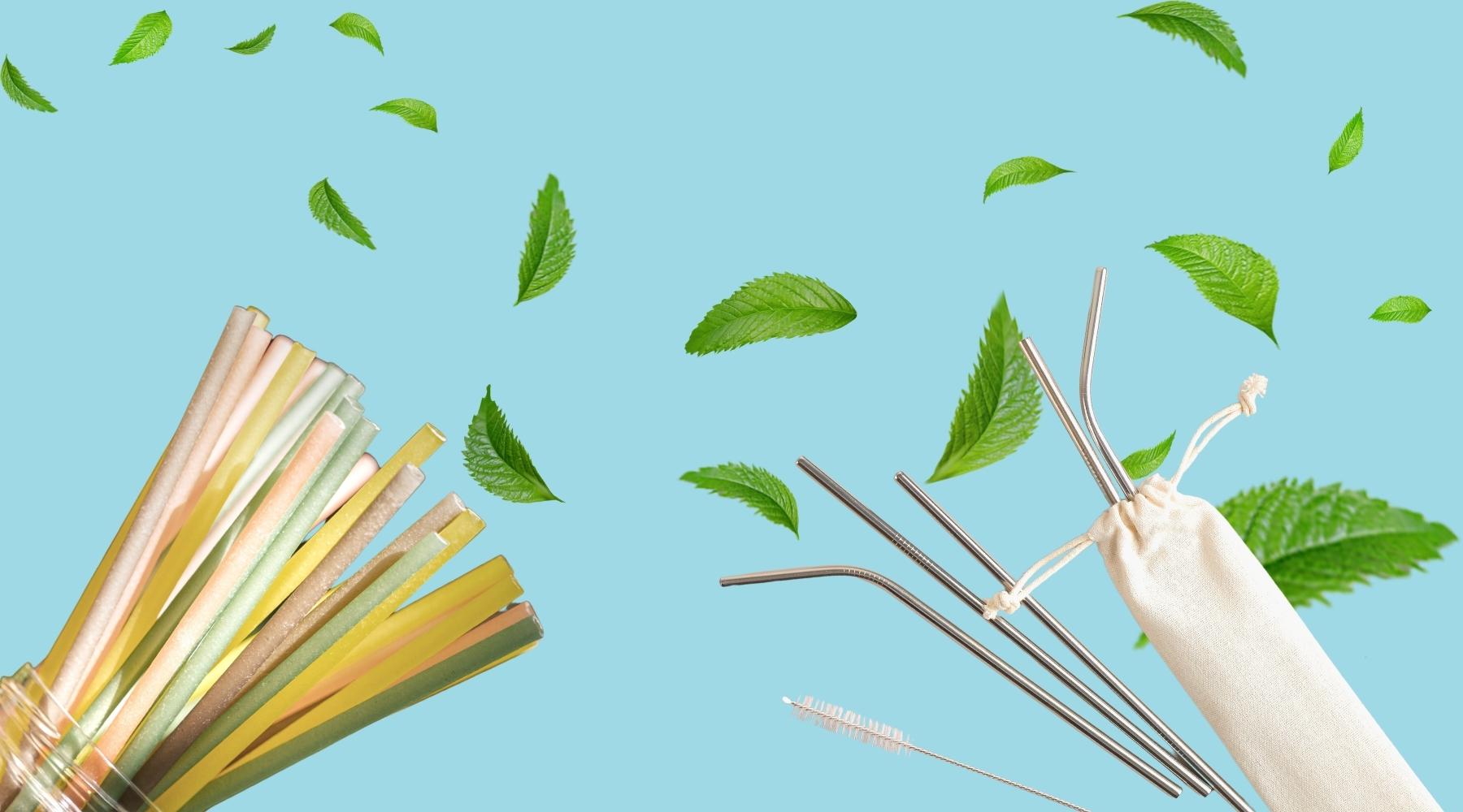 What Are the Best Alternatives to Plastic Straws?