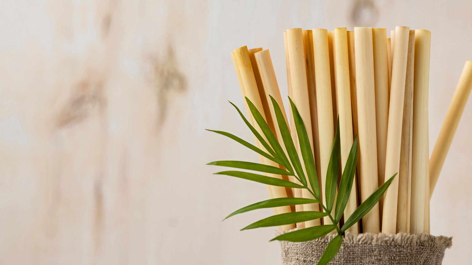 5 Best Eco Compostable Straws Made From Plants