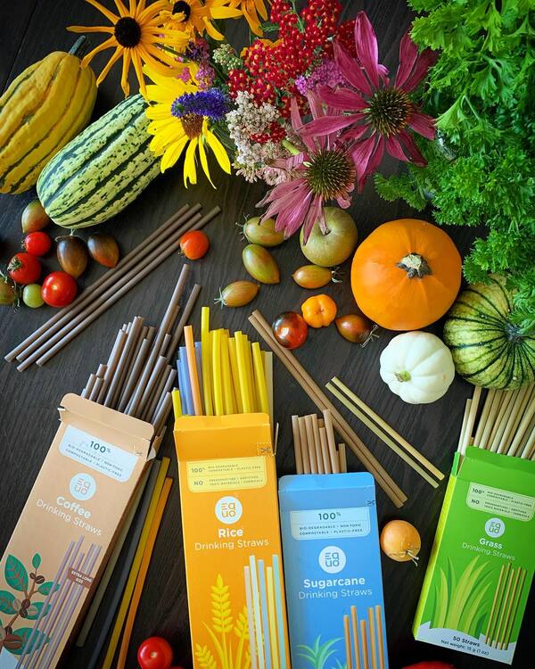 7 Best Biodegradable Compostable Straws Made From Plants