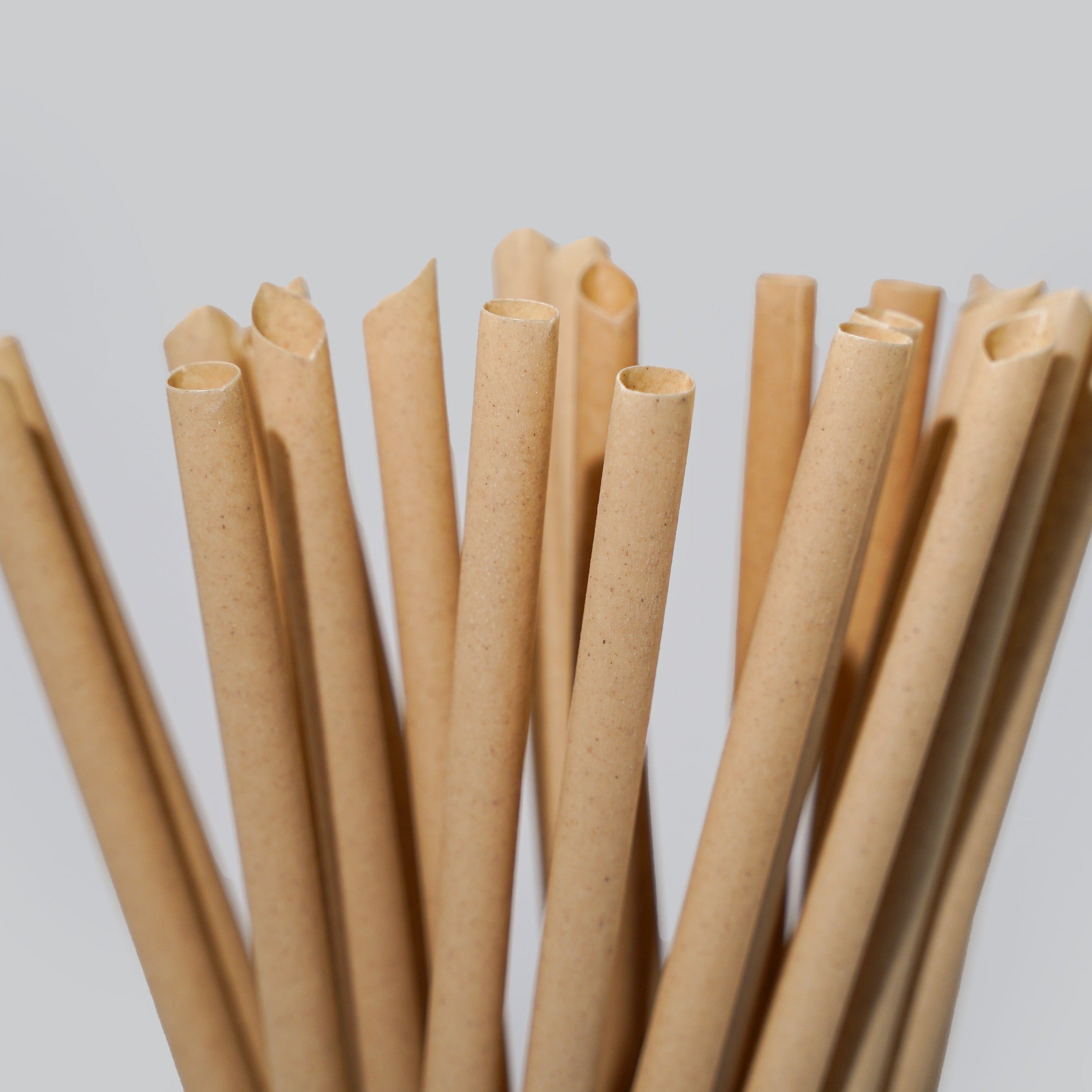 Wholesale/Bulk Sugarcane Drinking Straws, Standard Size - Great